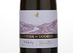 Altitude by Duorum,2011
