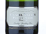 Camel Valley  Pinot Noir Brut,2010