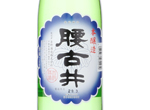 Koshigoi Honjozo,2016
