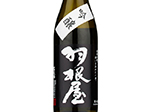 Haneya Ginjo,2021