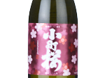 Komachisakura,2024