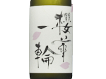 Sakuramasamune Daiginjo Oukaichirin,2024