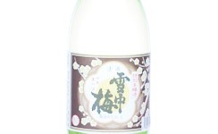 SETCHUUBAI Tokubetsu Honjozo,2024