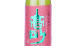 Takasago Yamahai Honjozo,2024