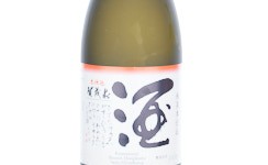 Kamoizumi Shusen,2024