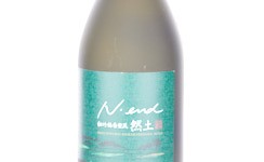 Shochikubai Shirakabegura Nend#2,2024