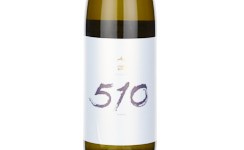 Shichida 510,2025