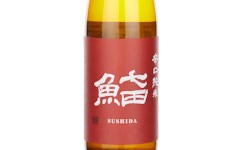 Shichida Sushida,2025