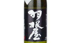 Haneya Ginjo,2025