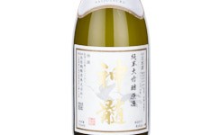Shinzui Saijotsuru,2025