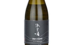 Aki Tsubaki StereoTypes SasakiShoten Co.,Ltd,2025