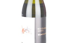 Niizawa 2024,2024