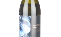 Niizawa 2025,2025
