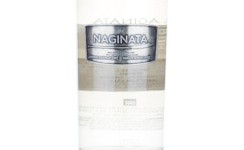 Naginata,2024