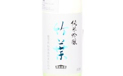 Chikuha Junmai Ginjo,2025