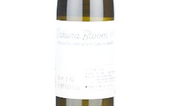 Sakura Bloom #1,2025
