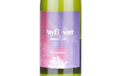 Dayflower,2025