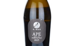 APE,2025