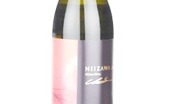 Niizawa 2019,2019