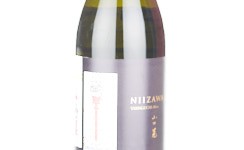 Niizawa 2020,2020