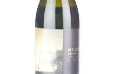 Niizawa 2021,2021