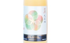 Hakushika Hana-Kohaku Plum,2025