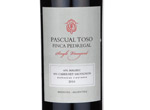 Pascual Toso Pedregal Single Vineyard,2010