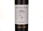 Pehuen,2008