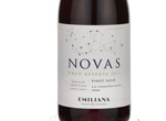Novas Pinot Noir,2011