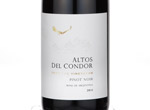 Altos del Condor,2011