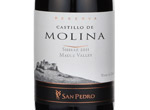Castillo de Molina Shiraz,2011