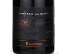 Kankana del Elqui,2009