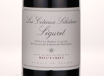 Boutinot les Coteaux Schisteux Séguret,2009