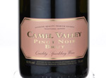 Camel Valley Pinot Noir Rosé Brut,2011