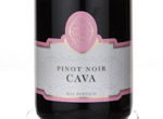 Marks and Spencer Pinot Noir Rosado Vintage Cava,2009