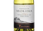 Castillo de Molina Sauvignon Blanc,2012
