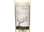 Caliterra Tributo 'Single Vineyard' Sauvignon Blanc,2012