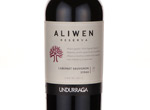 Aliwen Reserva Cabernet Sauvignon-Syrah,2011