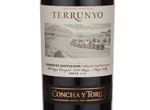 Terrunyo Cabernet Sauvignon,2010