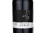 San Vicente Lukai,2009