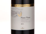 Bottega Vinai Pinot Nero Trentino DOC,2011