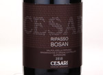 Ripasso Bosan Valpolicella Superiore DOC,2010