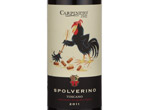Spolverino,2011