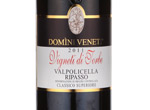 Valpolicella Ripasso Classico Superiore Vigneti di Torbe,2011
