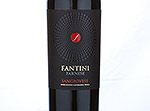 Fantini Sangiovese Terre di Chieti IGT,2013
