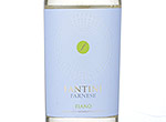 Fantini Fiano Terre di Chieti IGP,2013