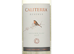 Reserva Sauvignon Blanc,2013