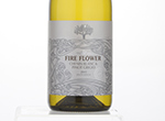 Fireflower Chenin/PG South Africa,2013