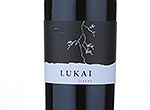 San Vicente Lukai,2011