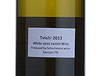 Tvishi,2013